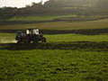 Agricoltura - Foto di Vermondo Agricoltura - Foto di Vermondo