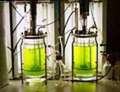 moss bioreactor moss bioreactor