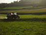 Campagna - Foto di Vermondo Campagna - Foto di Vermondo