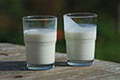 A glass of milk (left) and a glass of buttermilk (right). Author Ukko-wc A glass of milk (left) and a glass of buttermilk (right). Author Ukko-wc
