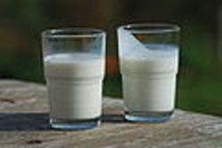 A glass of milk (left) and a glass of buttermilk (right). Author Ukko-wc A glass of milk (left) and a glass of buttermilk (right). Author Ukko-wc
