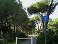 Piste ciclo pedonali - Petitverdot: Matteo Vinattieri Piste ciclo pedonali - Petitverdot: Matteo Vinattieri