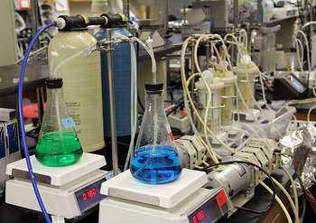 Ricerca - Center for Biofilm Research, Montana State University
