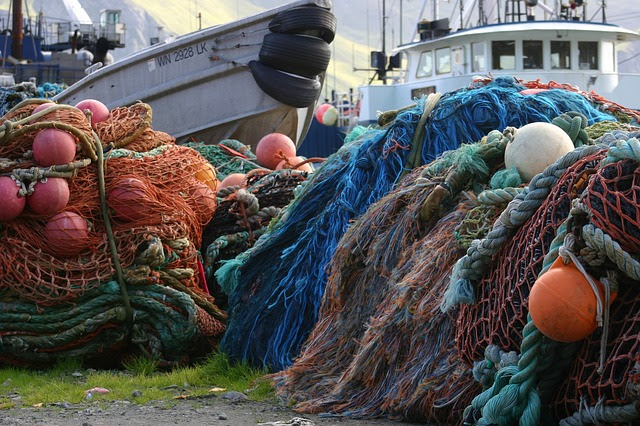 Pesca - Photo credit: Foto di David Mark da Pixabay 