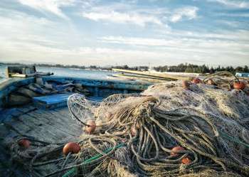 Pesca - Foto di Bedis ElAcheche da Pexels