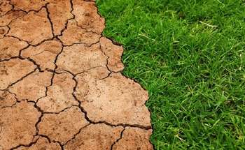 Mission Soil - Photo credit: Foto di Tumisu da Pixabay 
