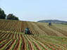 Agricoltura - foto di Ranveig Agricoltura - foto di Ranveig