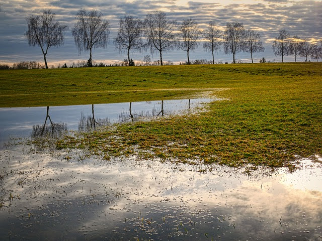 Gestione rischio in agricoltura - Photo credit: Foto di Albrecht Fietz da Pixabay 