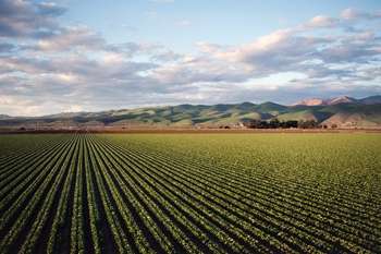 Agricoltura - Photo credit: Foto di Tim Mossholder da Pexels