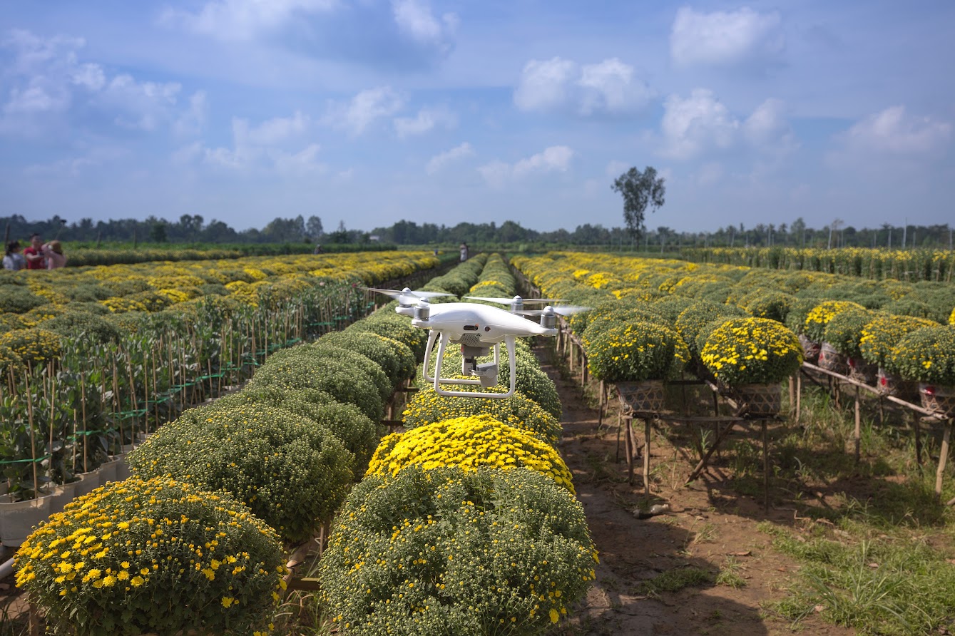 Agricoltura - Photo credit: Quang Nguyen Vinh