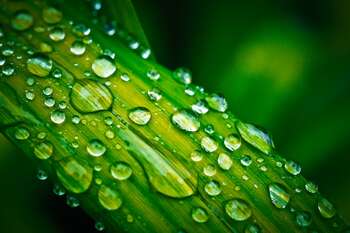 REPoweEU PNRR Competenze Green - Foto di Pixabay da Pexels