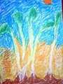 Disegno Ambiente - immagine di Myfacebook Disegno Ambiente - immagine di Myfacebook