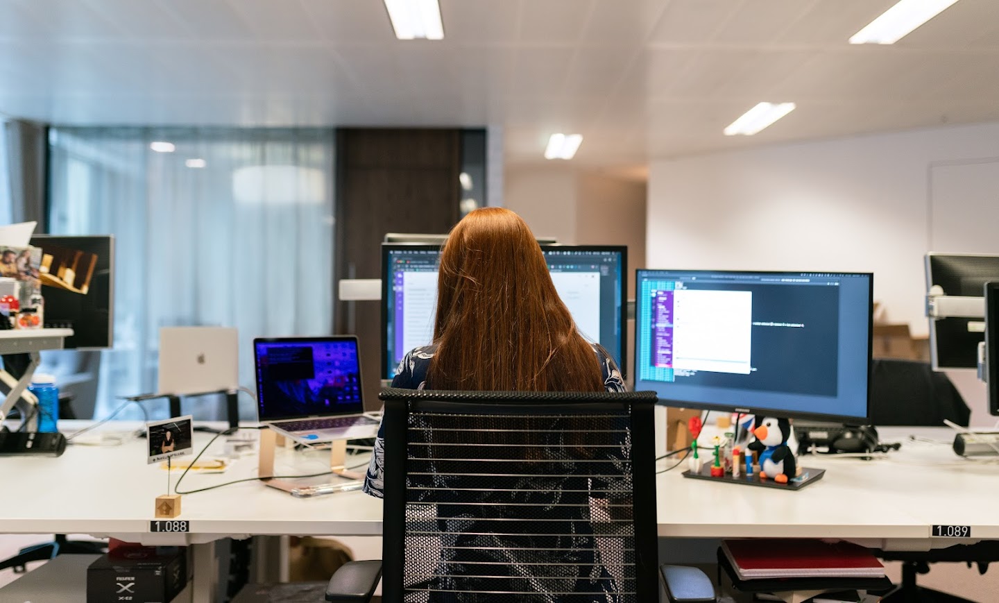 BAMM - Foto di ThisIsEngineering da Pexels