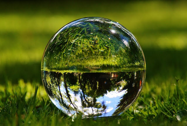 Foto di Alexas Fotos: https://www.pexels.com/it-it/foto/alberi-erba-verde-riflesso-9980820/