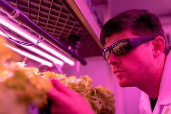 Agritech - Photo credit:Foto di RAEng_Publications da Pixabay
