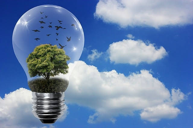 Foto di Alexa da Pixabay