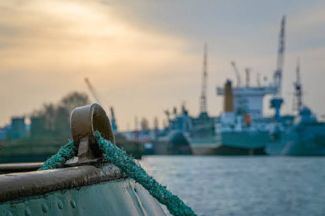 Foto di mali maeder da Pexels