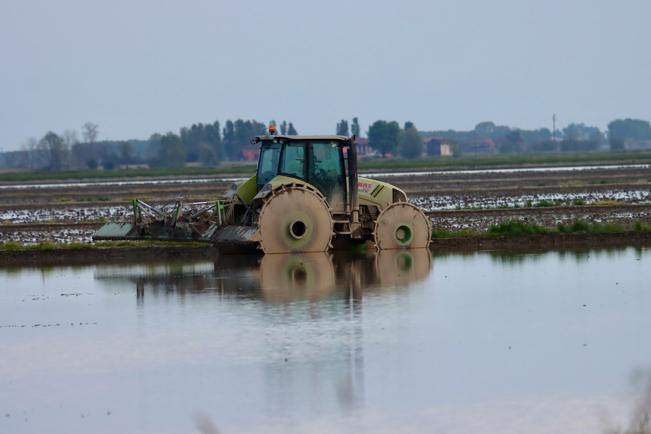 Alluvione - Photo credit: Foto di Alberto Cotogni - Pexels