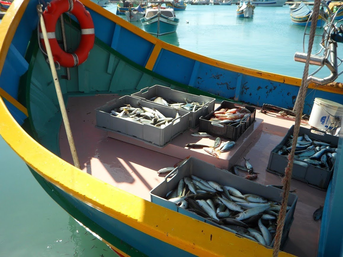 Pesca - Photo credit: Foto di M W da Pixabay