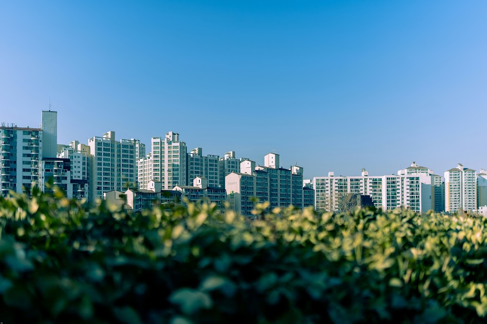 Foto di sq lim da Unsplash