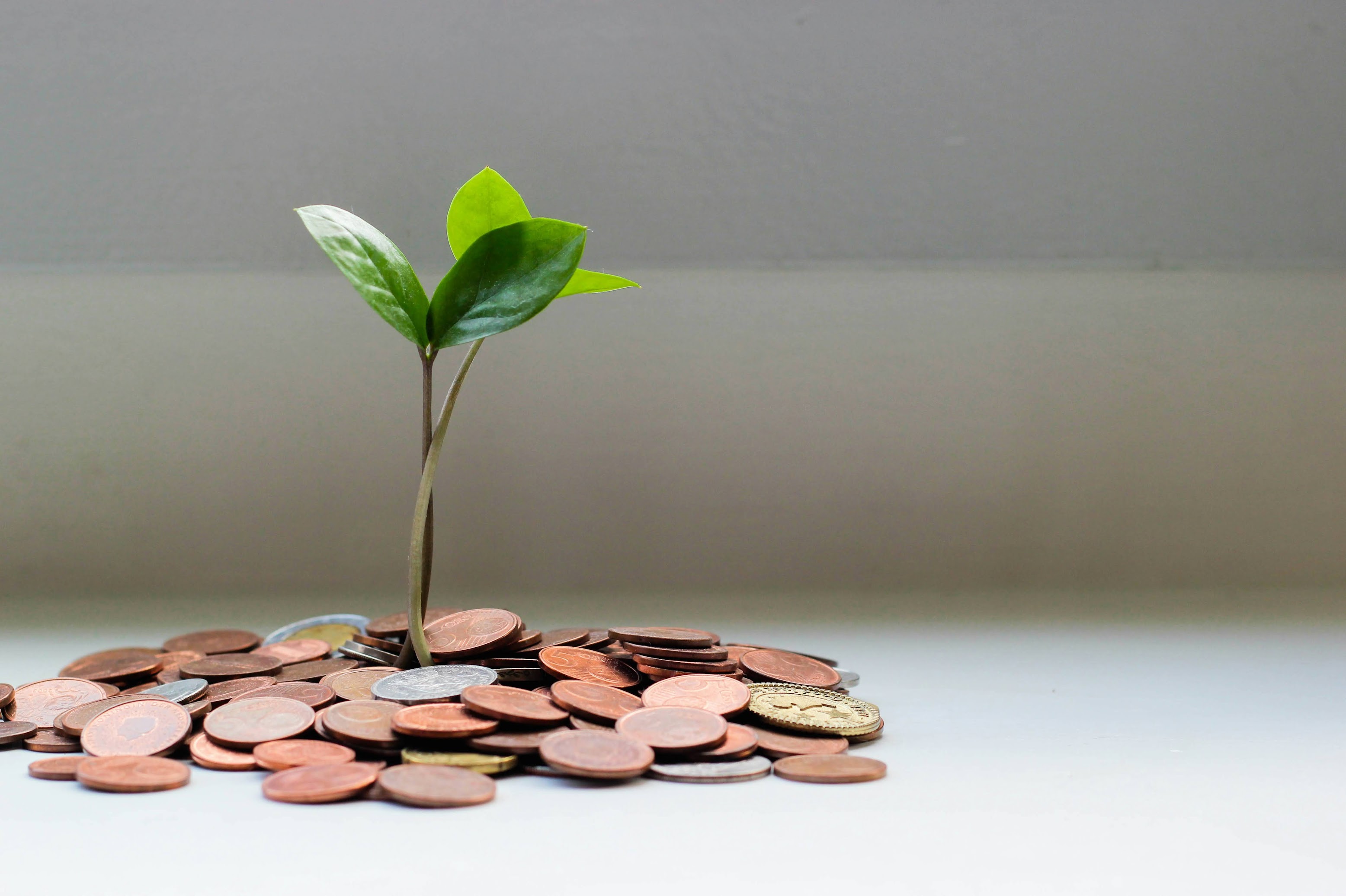 Lombardia investimenti esteri - Foto di micheile henderson da Unsplash