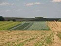 Agricultural landscape - Foto di Mohylek