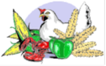 Food icons - immagine di Blleininger Food icons - immagine di Blleininger